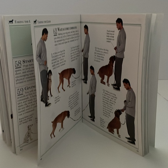 101 Essential Tips DOG CARE , by Dr. Bruce Fogle ( DMV, MRCVS). Paperback book. - Picture 12 of 17